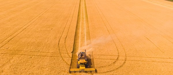 micronutrientes imagen 2 pacific