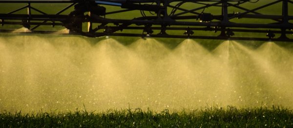 micronutrientes imagen 1 pacific